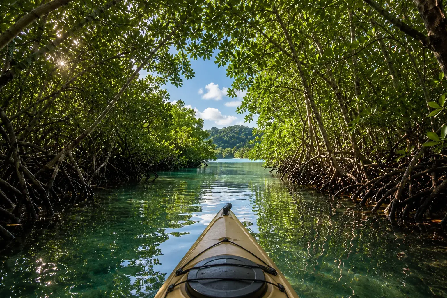 Recorrido en kayak por un canal entre manglares, con raíces a ambos lados y agua abierta al frente